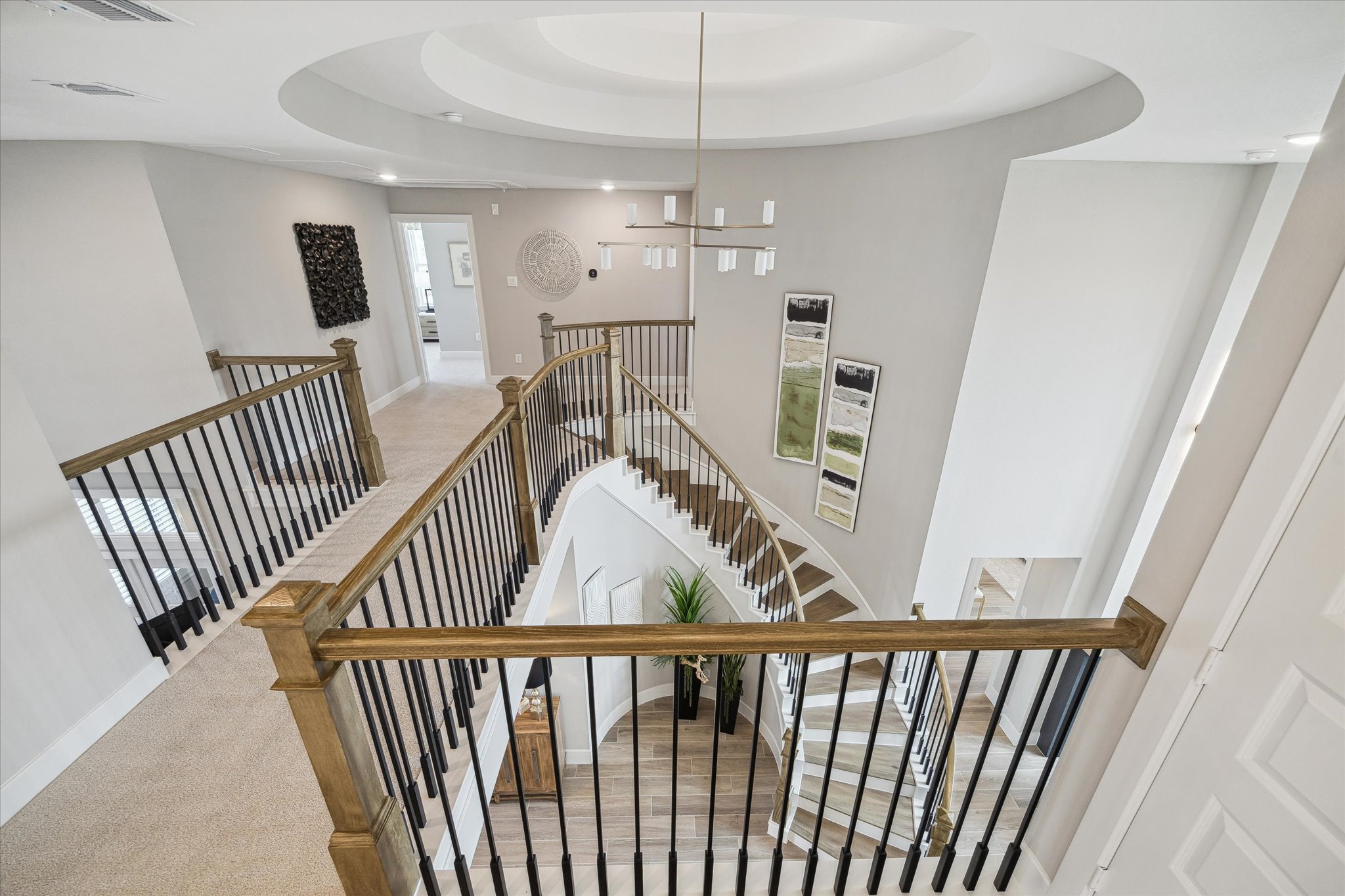 The Carter IX Photo 20